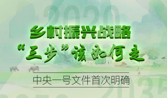 乡村振兴战略&ldquo;三步&rdquo;该如何走 中央一号文件首次明确