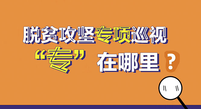 【短视频】脱贫攻坚专项巡视&ldquo;专&rdquo;在哪里？