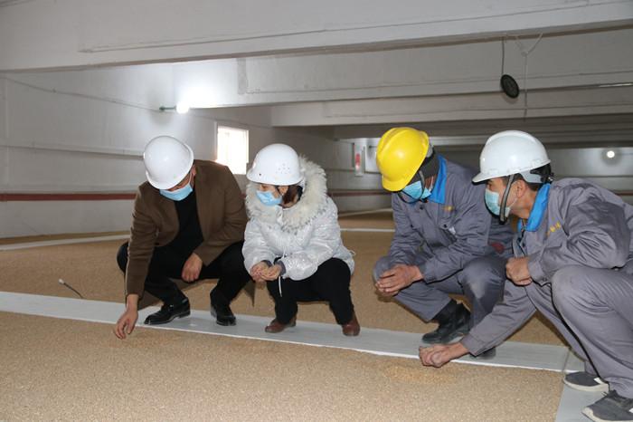 巴州纪检监察机关“回头看”实地查看涉粮专项巡察反馈问题整改情况。(巴州和静县纪委监委 崔红杰 摄).jpg