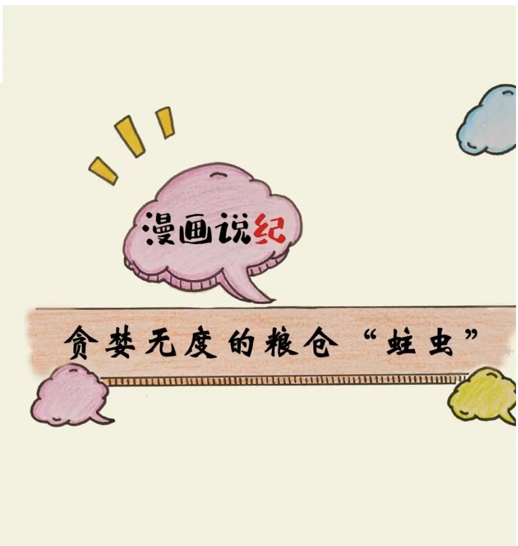 漫画说纪 | 贪婪无度的粮仓&ldquo;蛀虫&rdquo;