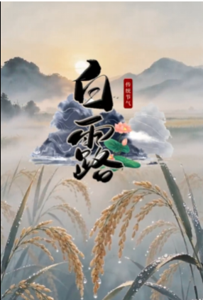今日丨白露