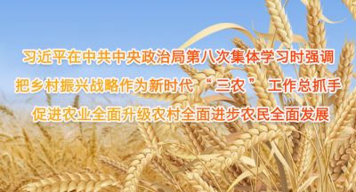 习近平在中共中央政治局第八次集体学习时强调 把乡村振兴战略作为新时代&ldquo;三农&rdquo;工作总抓手 促进农业全面升